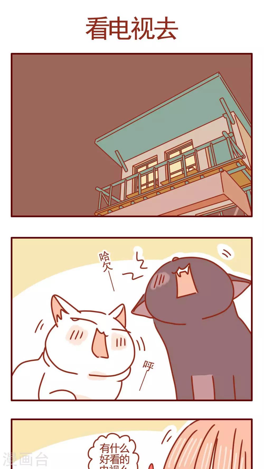 第355话-第355话