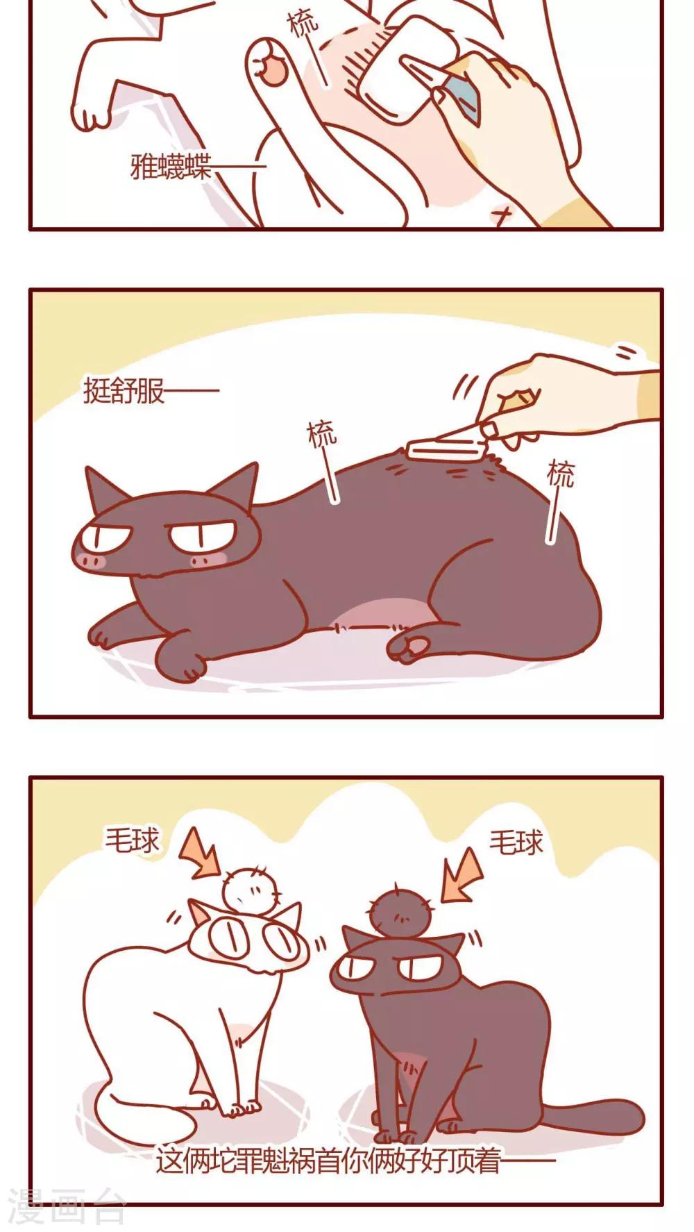 第5话-第5话