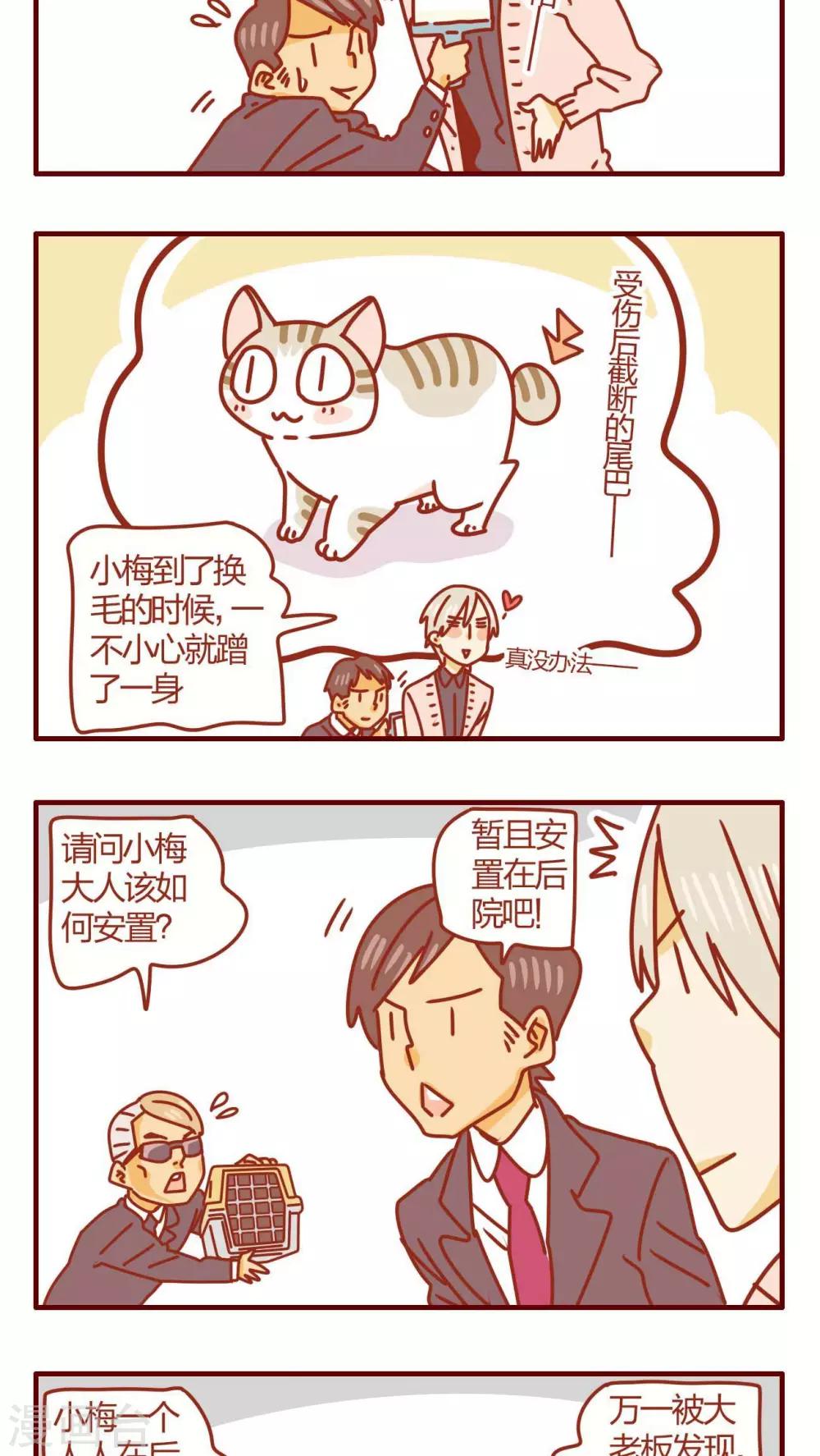 第41话-第41话