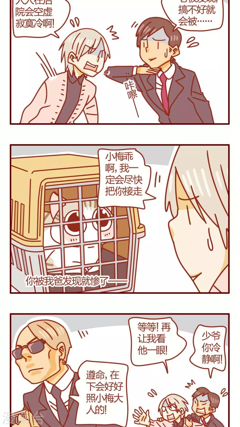 第41话-第41话