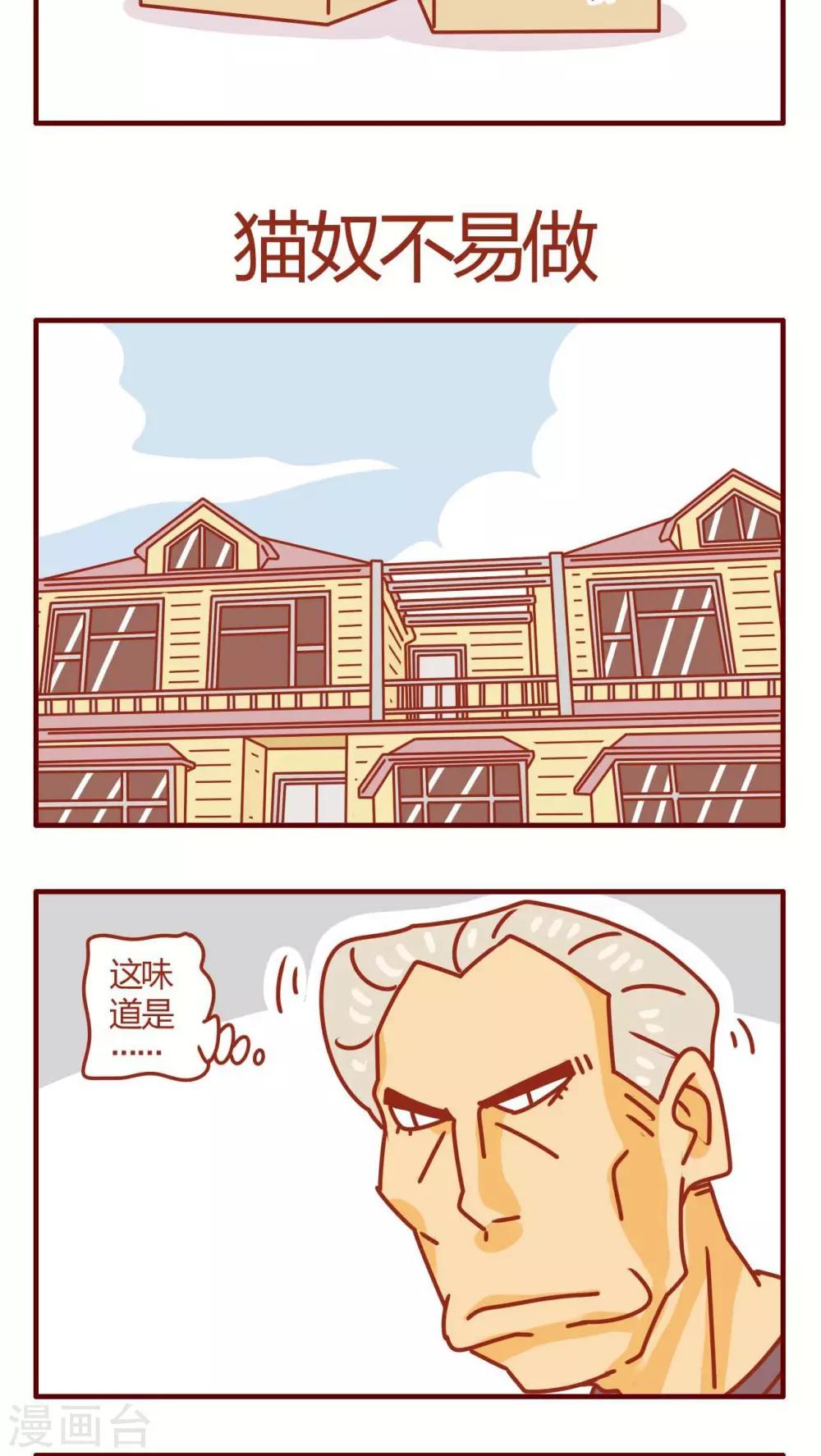 第41话-第41话