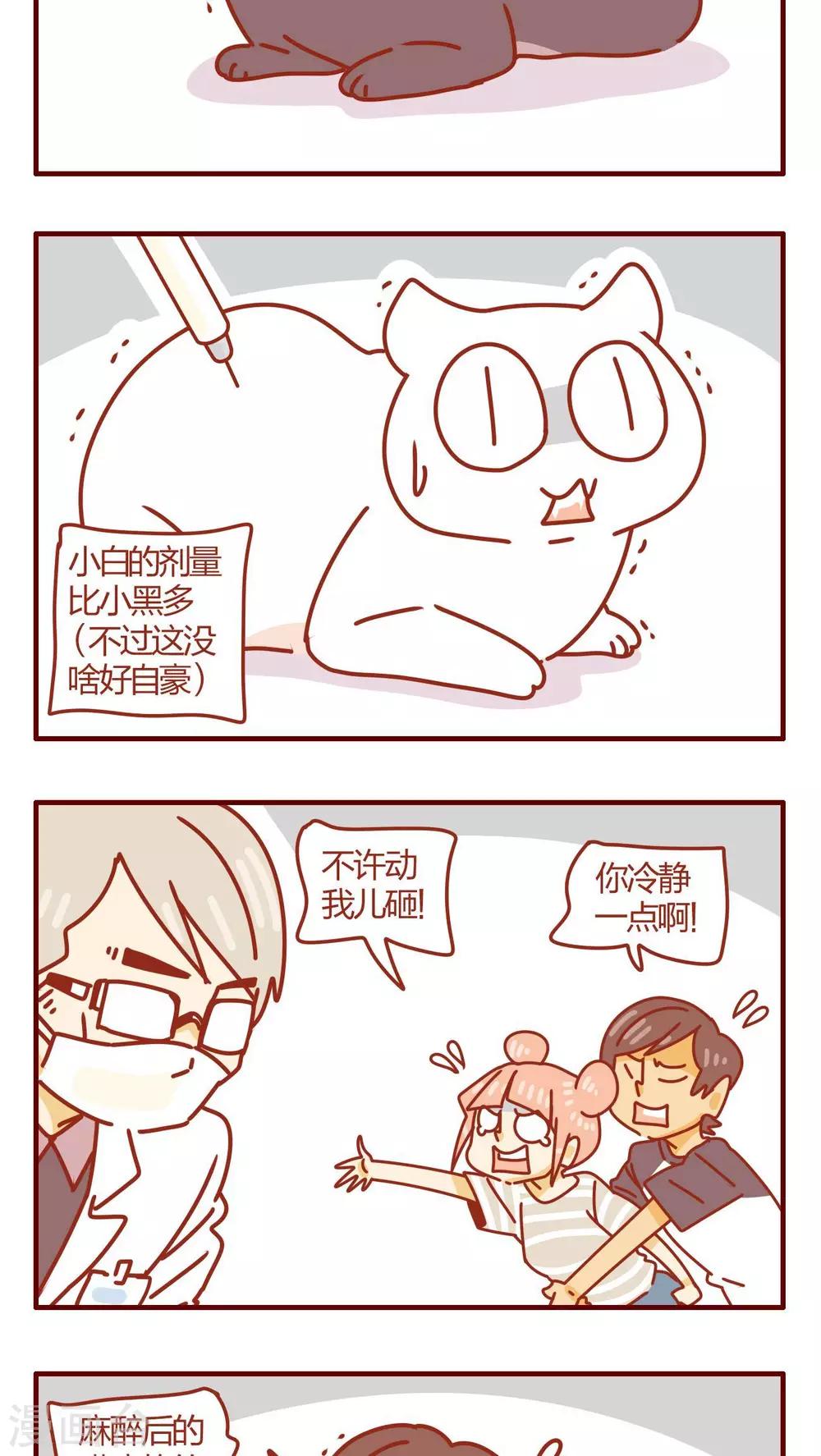 第47话-第47话