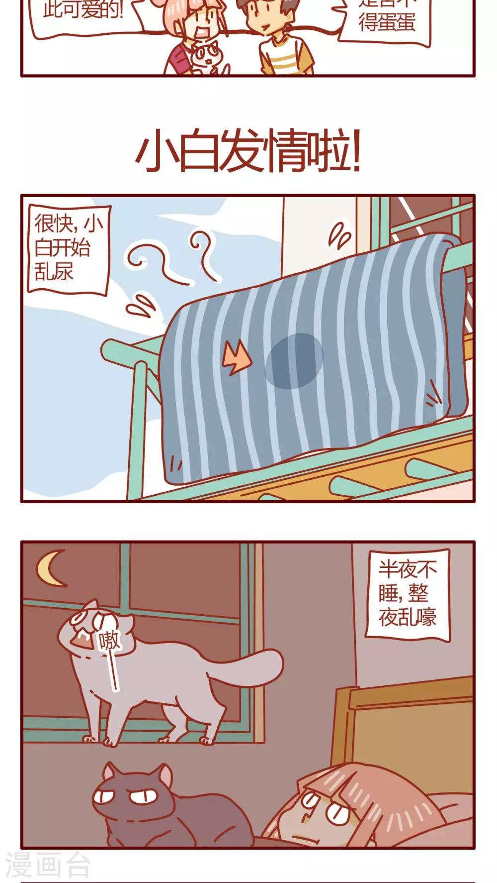 第47话-第47话