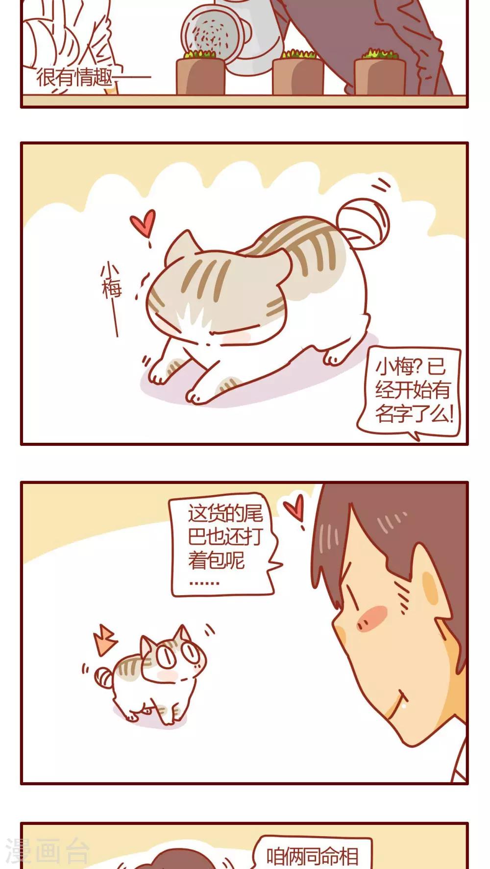 第53话-第53话