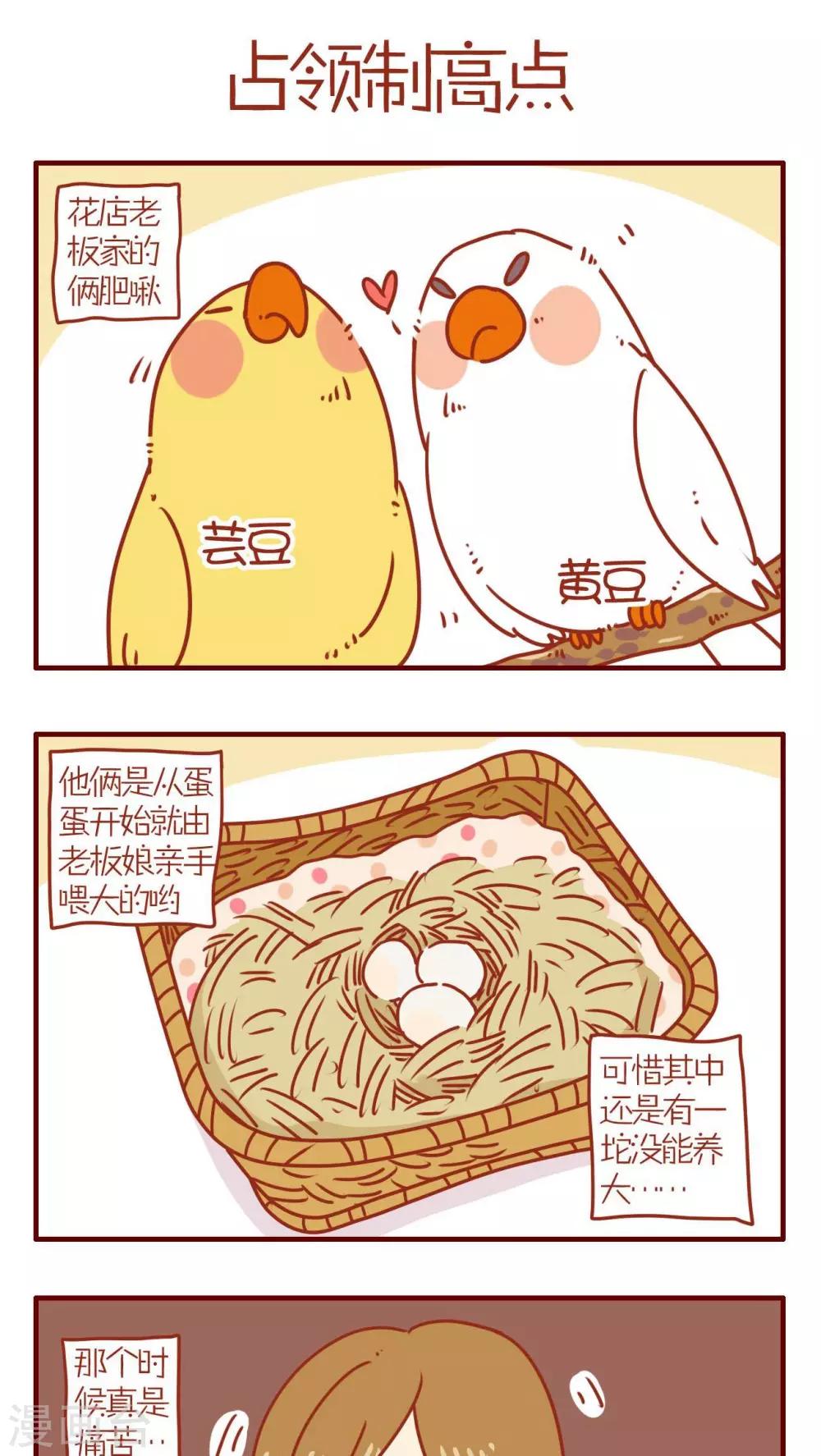 第67话-第67话