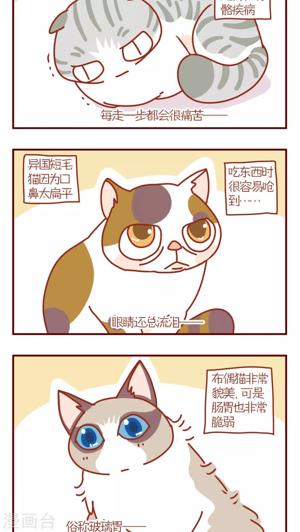第95话-第95话