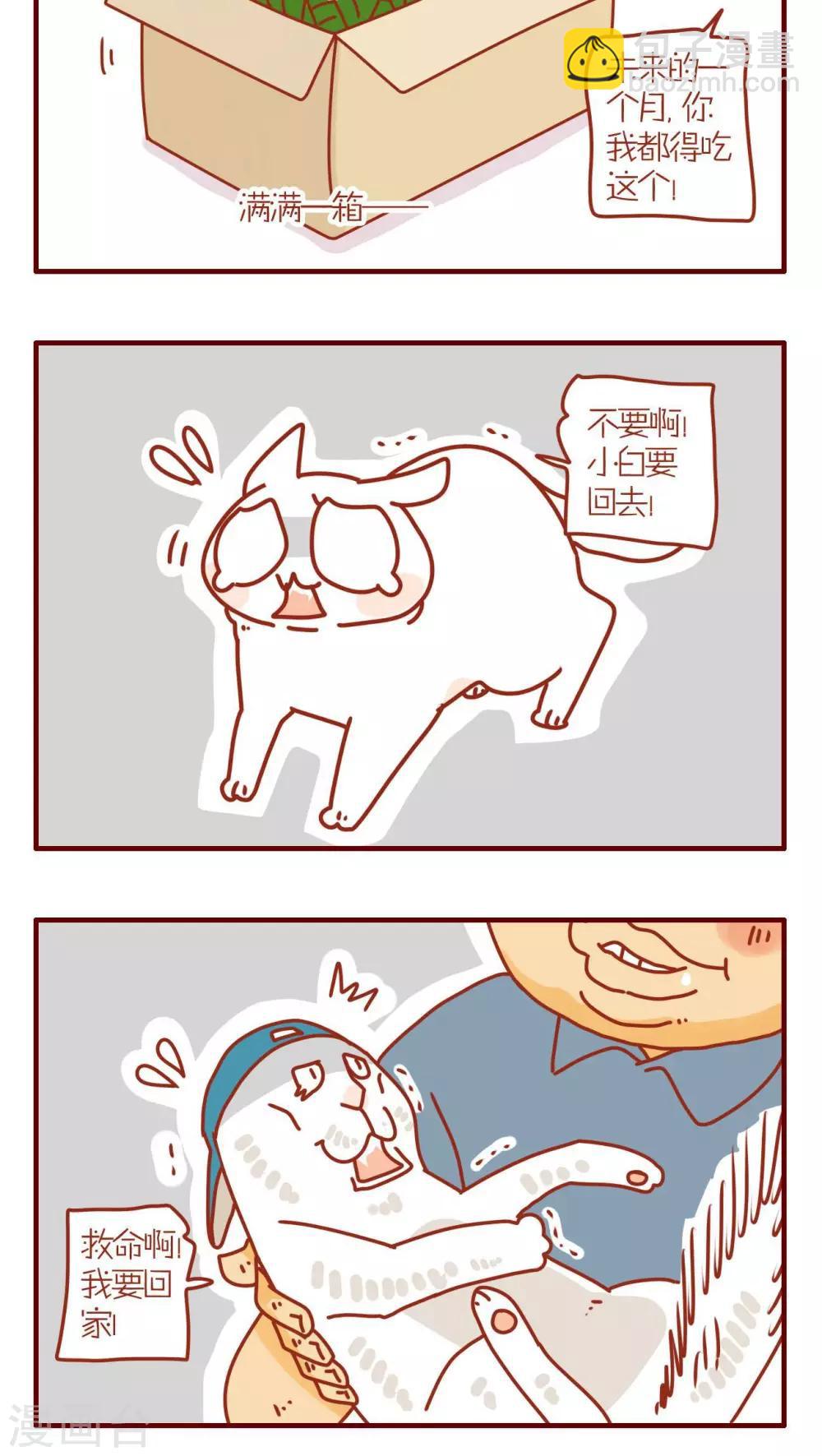 第97话-第97话