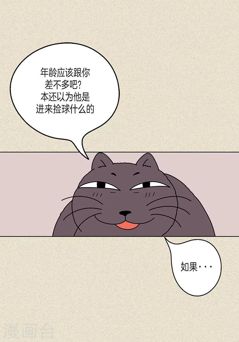 第11话 寻找犯人-第13话