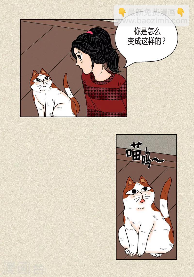 第29话 调查-第31话