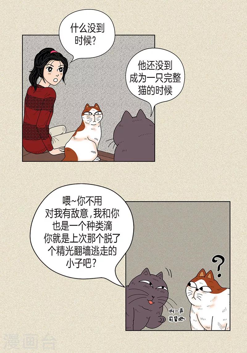 第29话 调查-第31话