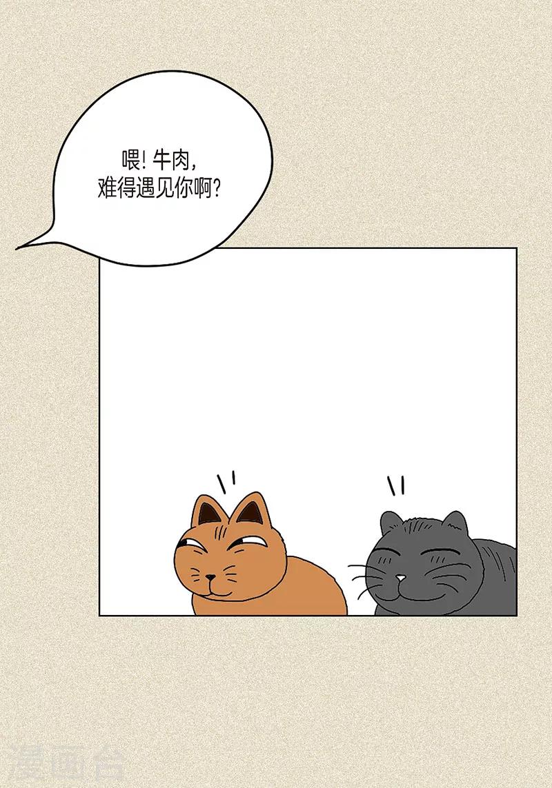 第3话 被捉弄-第5话