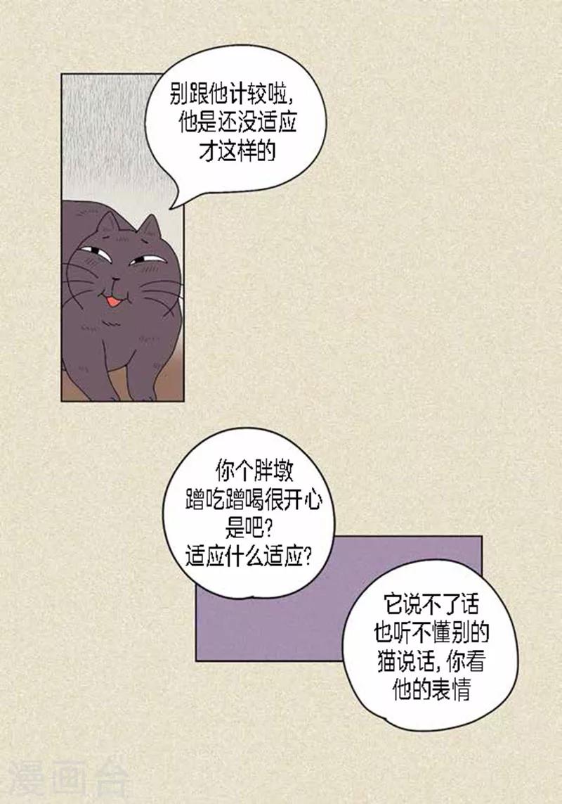 第37话 习天的执着-第39话