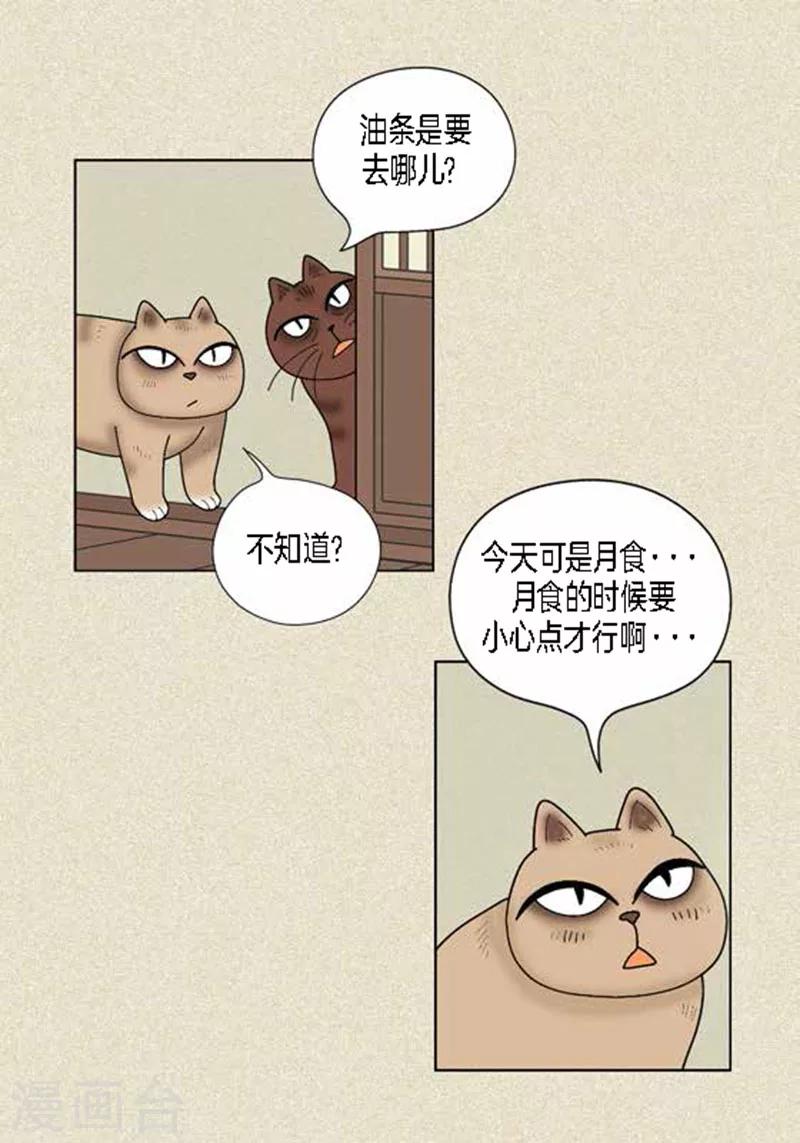 第37话 习天的执着-第39话