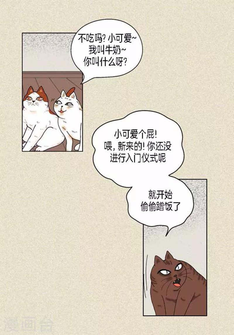 第37话 习天的执着-第39话