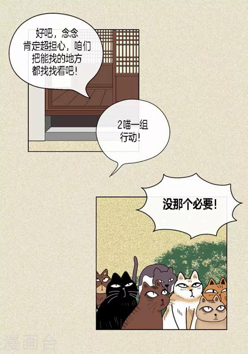 第45话 猫王子的下一个目标-第47话