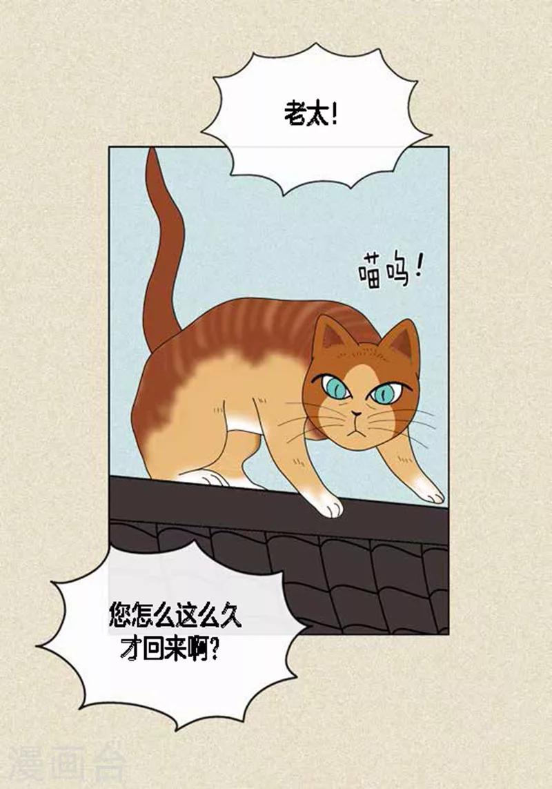 第45话 猫王子的下一个目标-第47话