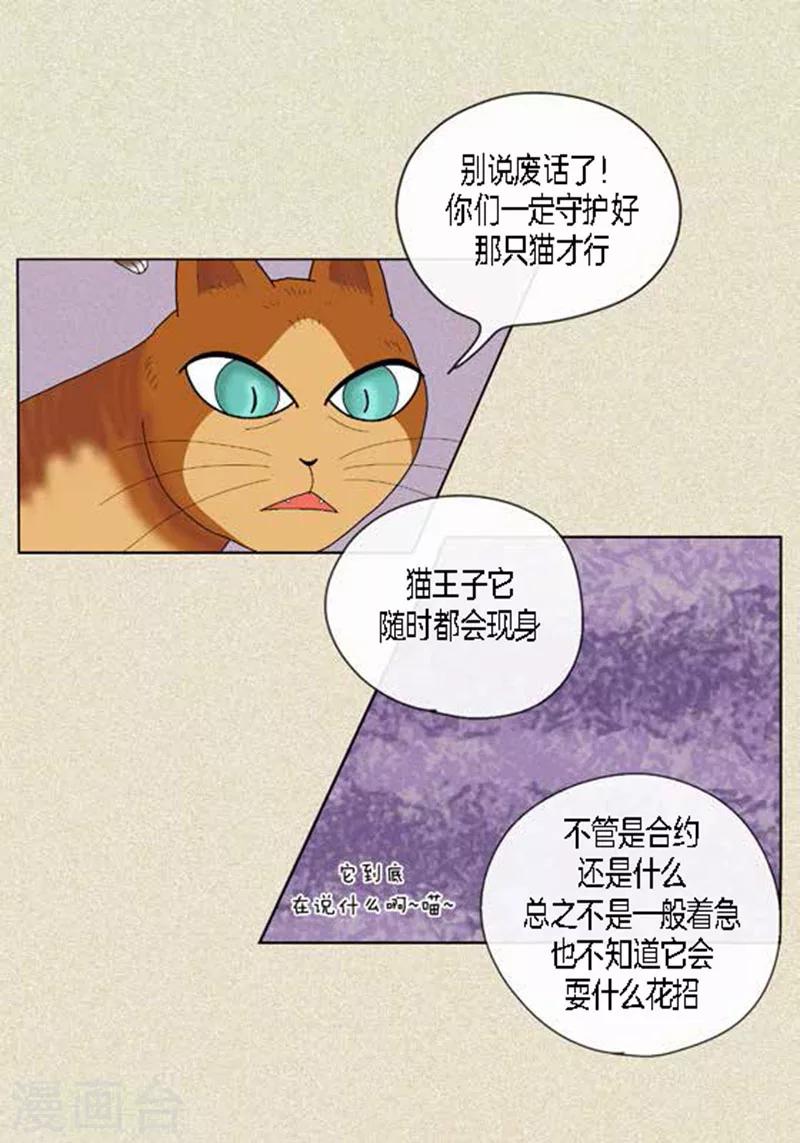 第45话 猫王子的下一个目标-第47话