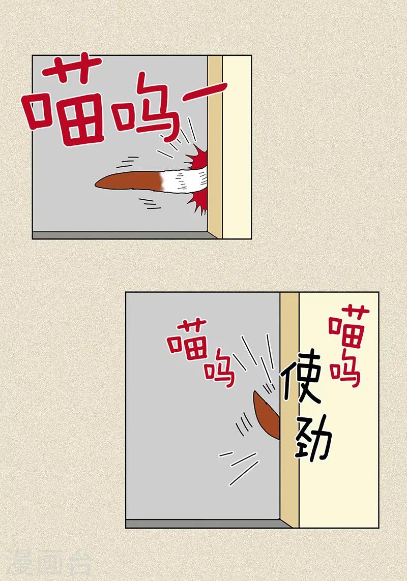 第7话 突然变身-第9话