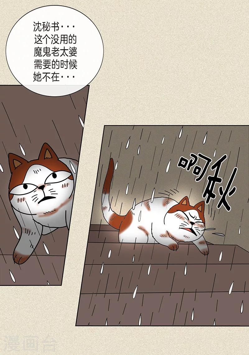 第9话 走后门的油条-第11话