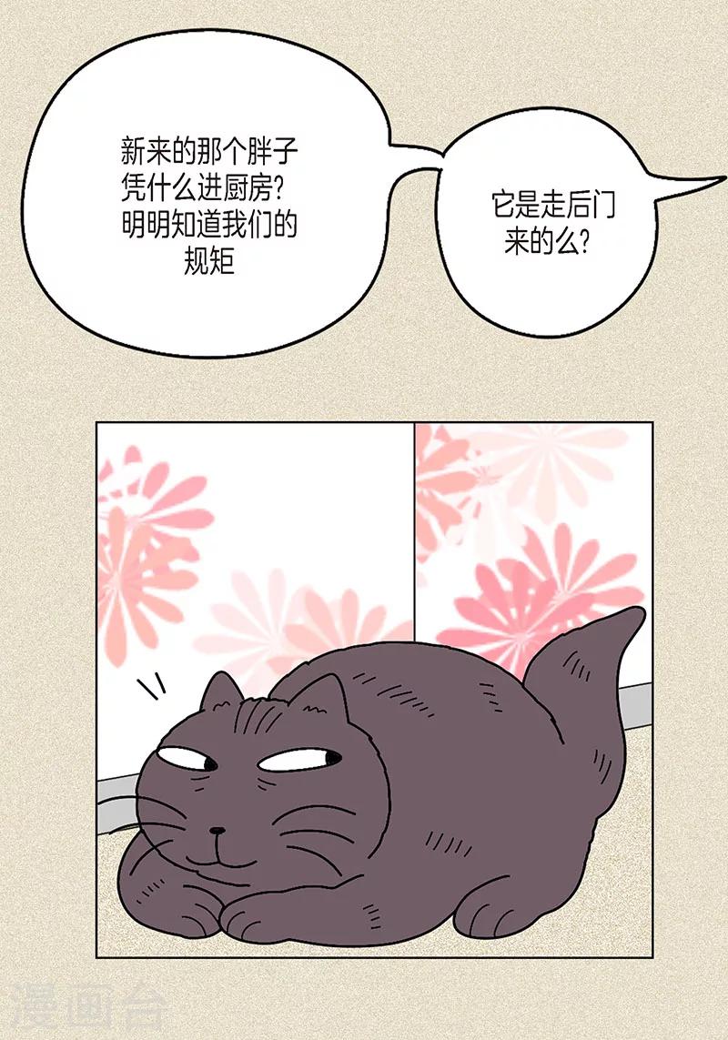 第9话 走后门的油条-第11话
