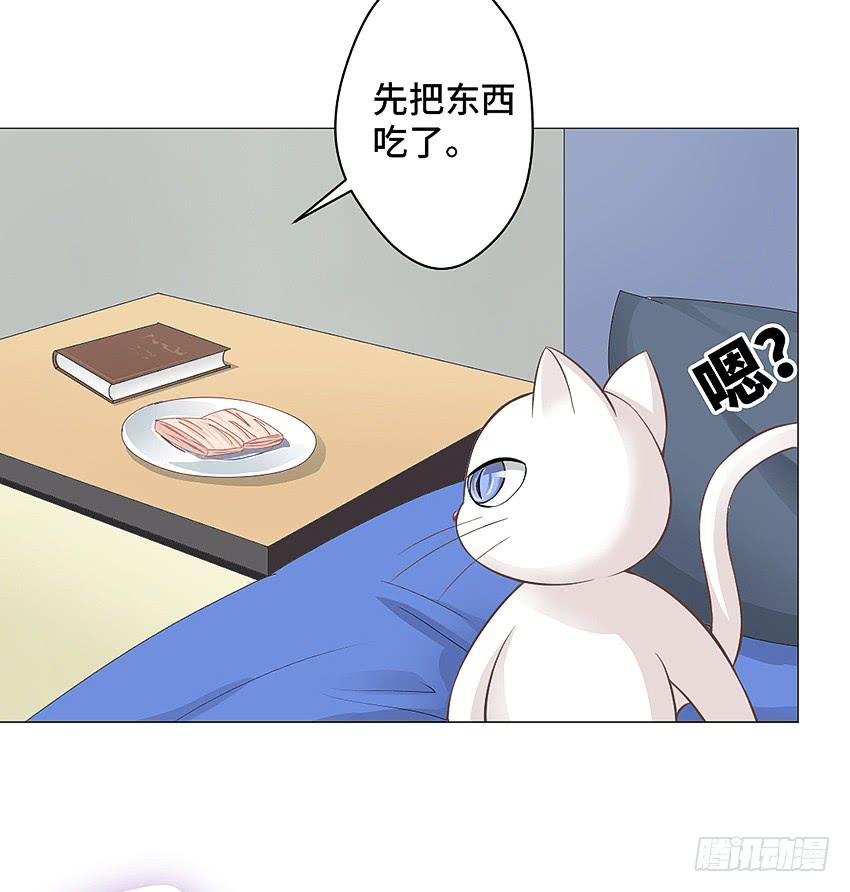 鳕鱼-第11话