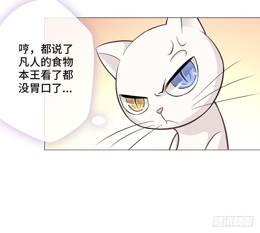 鳕鱼-第11话