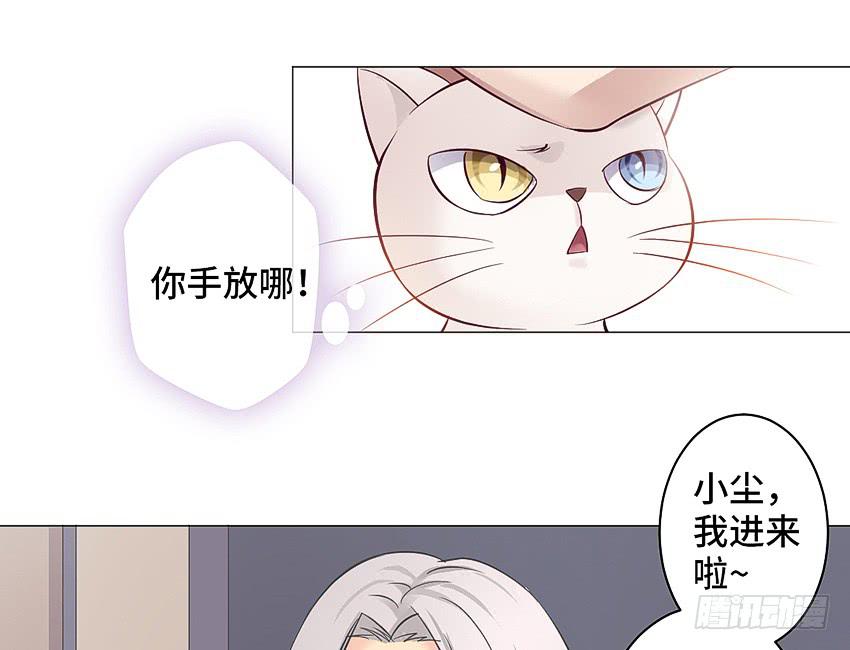 鳕鱼-第11话