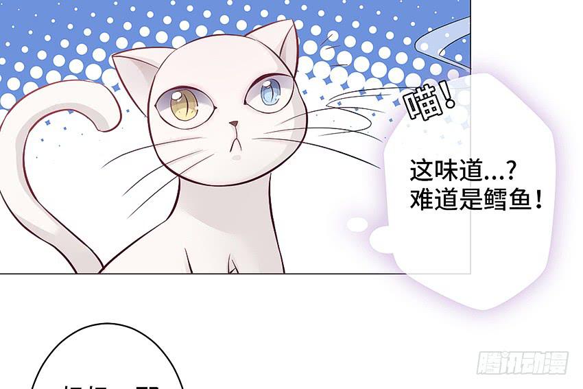 鳕鱼-第11话