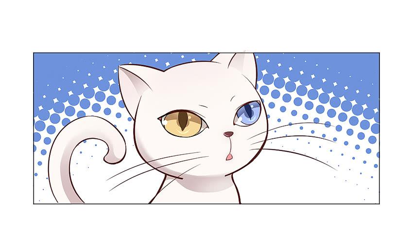鳕鱼-第11话