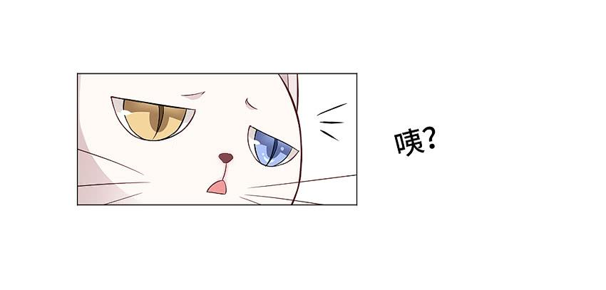 鳕鱼-第11话