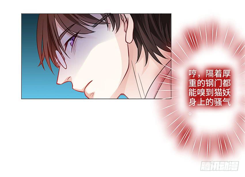 触手PLAY！(1/2)-第19话
