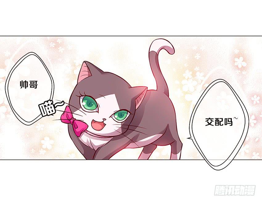 和他的约定(1/2)-第3话