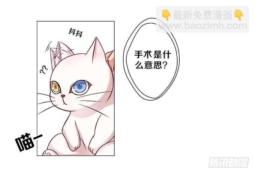 和他的约定(1/2)-第3话