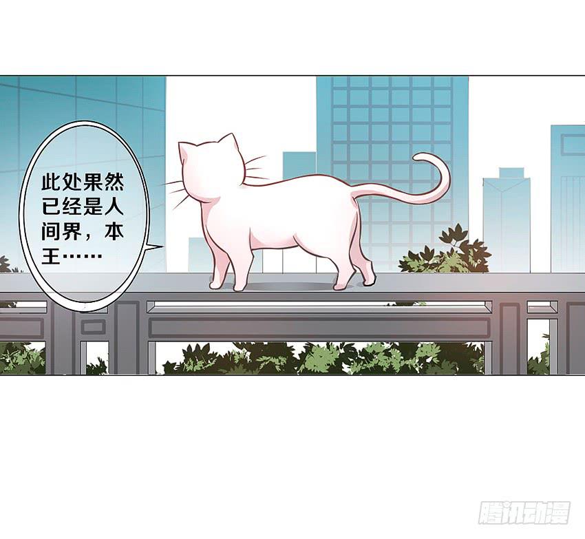 和他的约定(1/2)-第3话