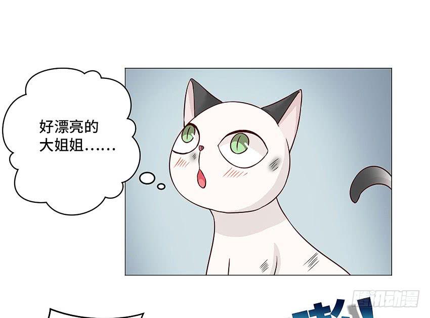 放我下来-第29话