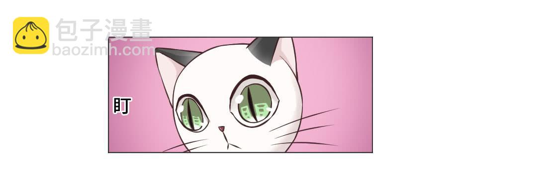 猫妖被睡了！-第31话