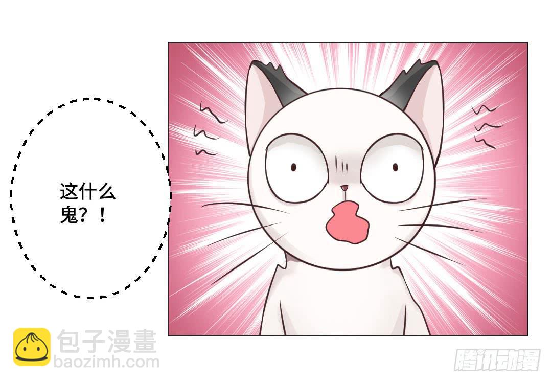 猫妖被睡了！-第31话