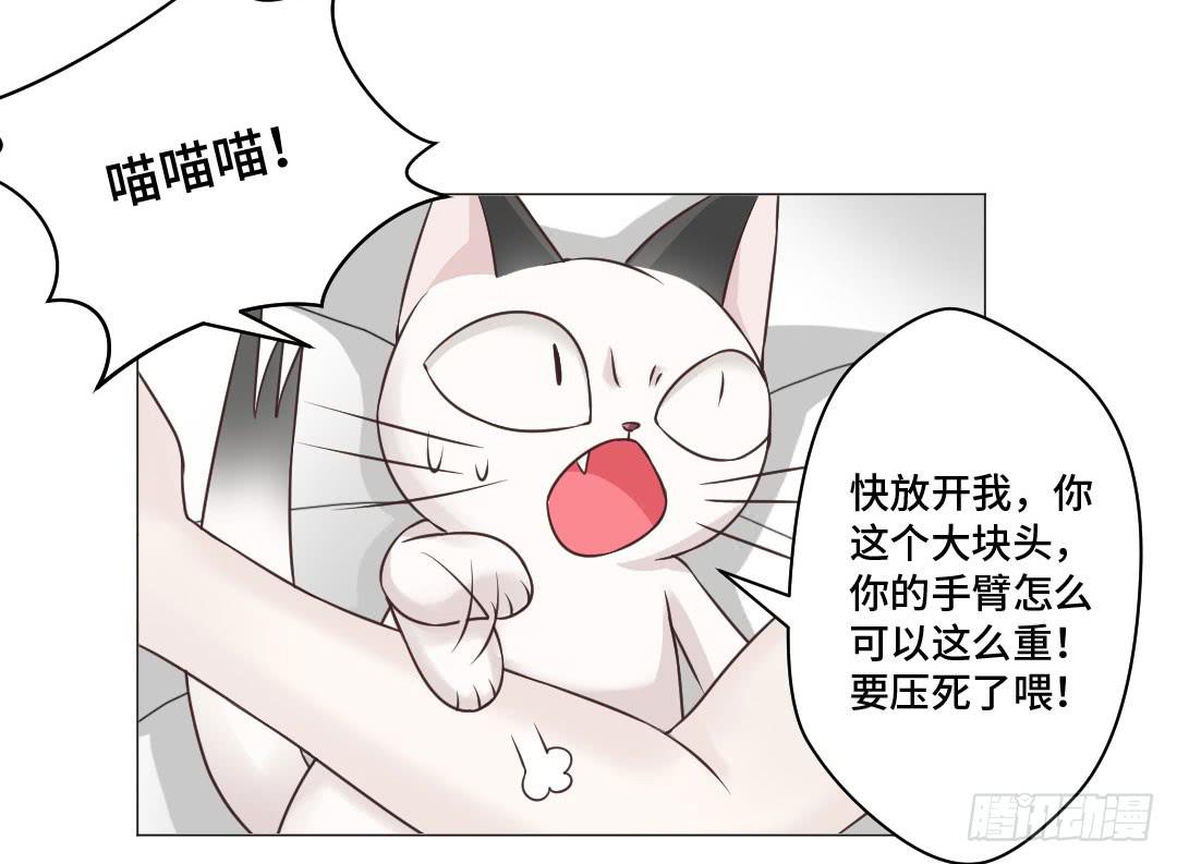 猫妖被睡了！-第31话