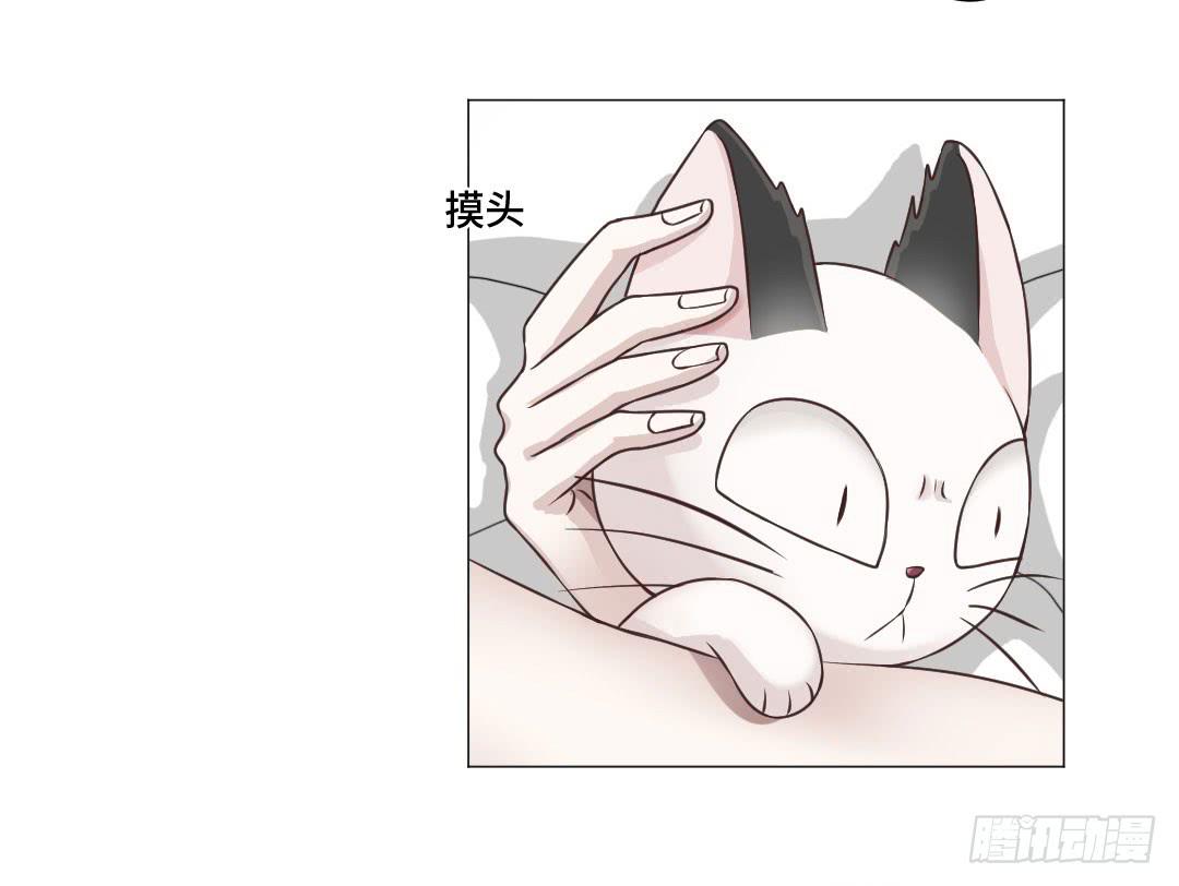 猫妖被睡了！-第31话