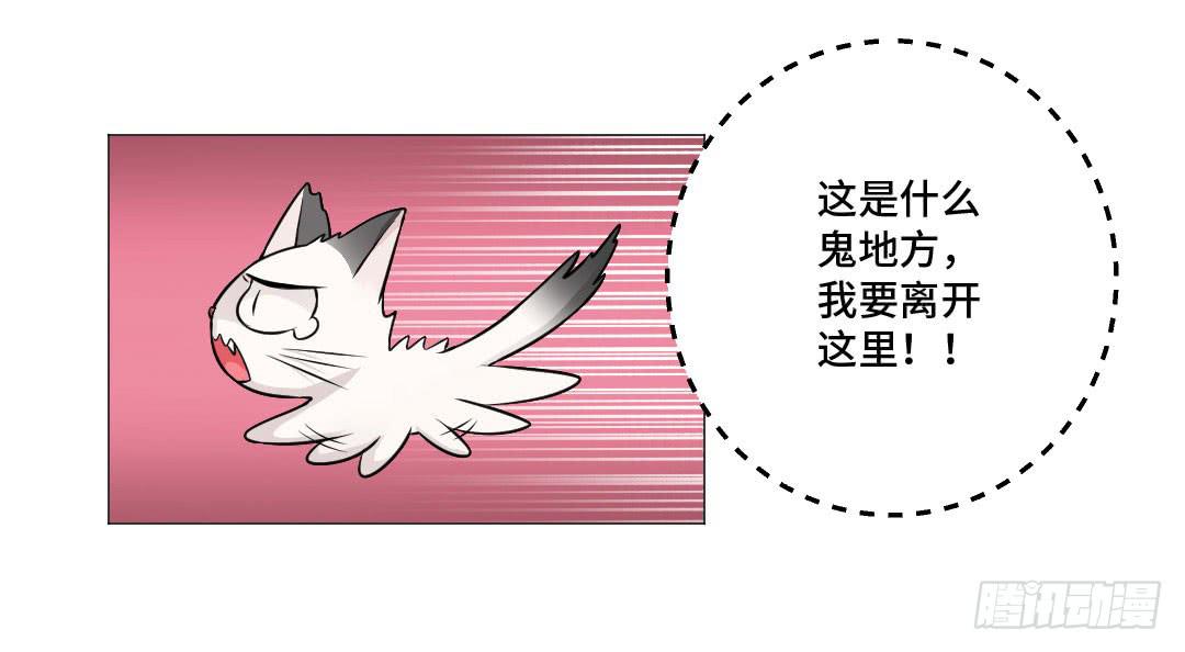 猫妖被睡了！-第31话