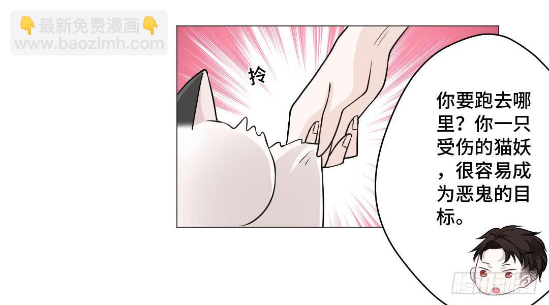 猫妖被睡了！-第31话