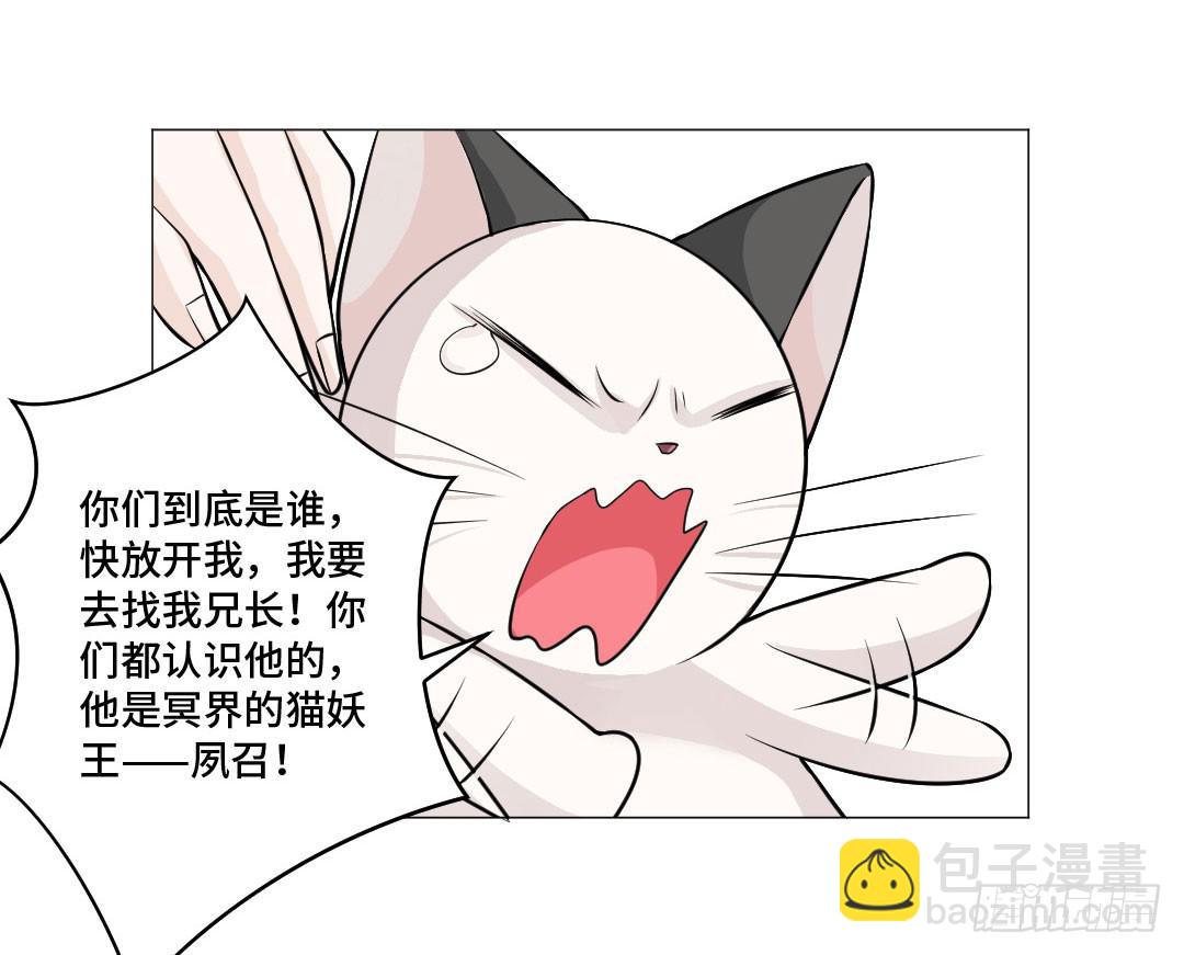 猫妖被睡了！-第31话
