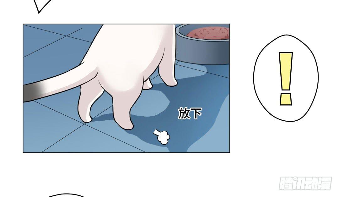 猫妖被睡了！-第31话