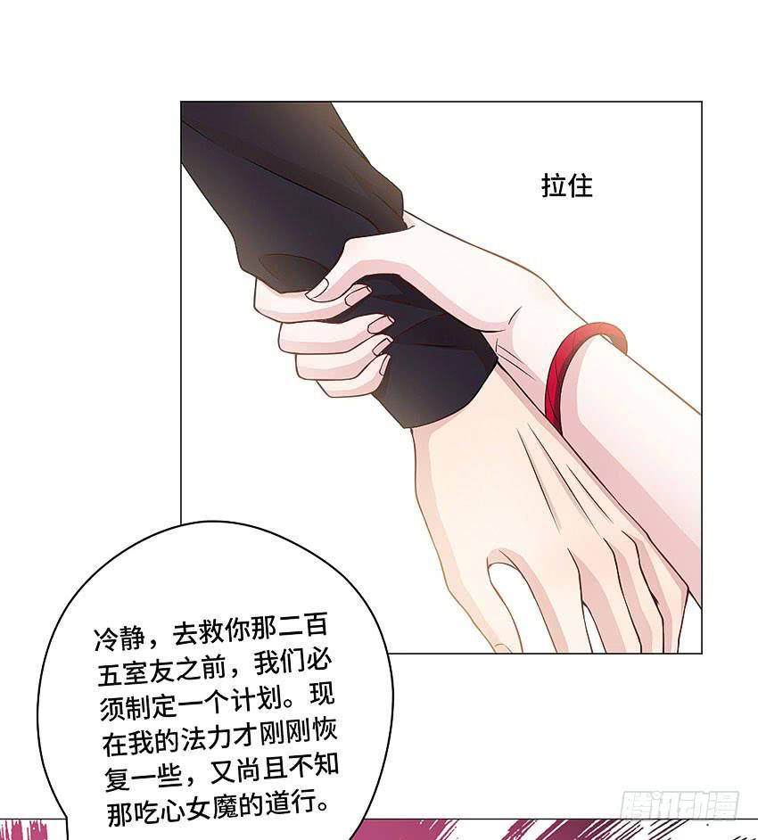 二百五室友-第53话