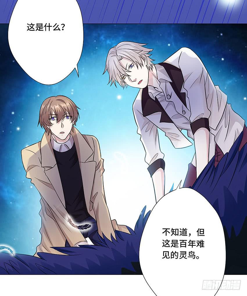 灵鸟-第61话