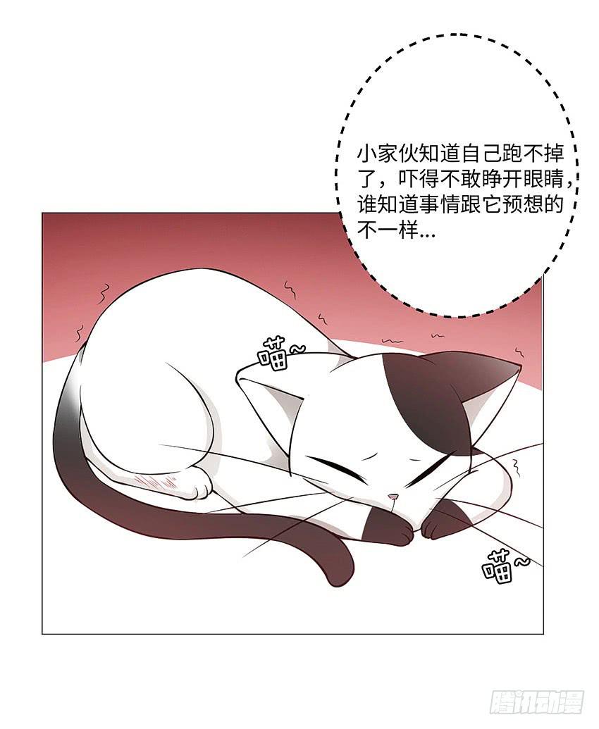 为什么又咬我-第79话