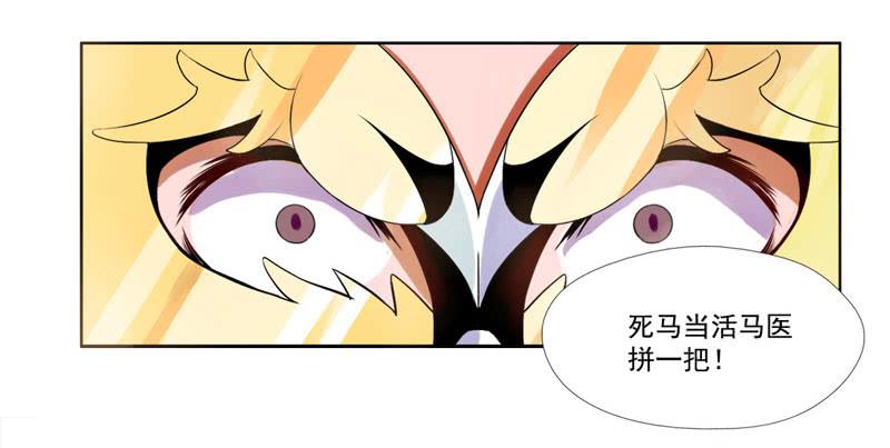 第5话：最重要的东西 下-第11话