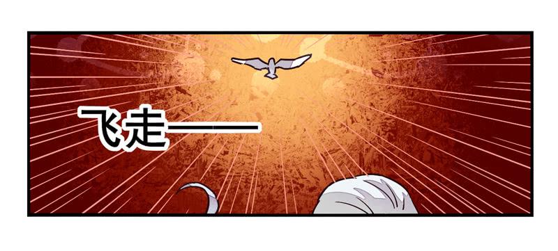 第36话：信鸽面具02-第51话
