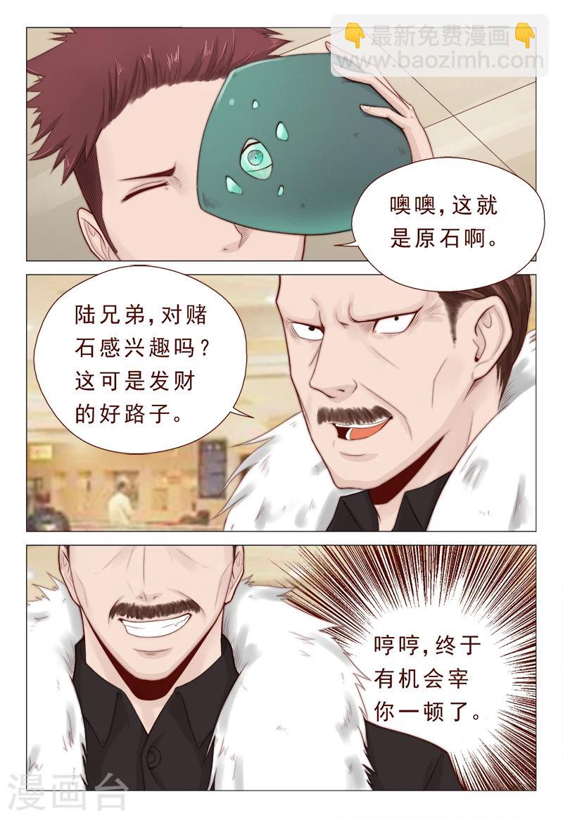 第21话 精心准备的假玉石-第21话