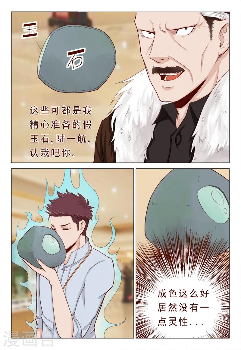 第21话 精心准备的假玉石-第21话